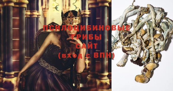 эйфоретик Переславль-Залесский